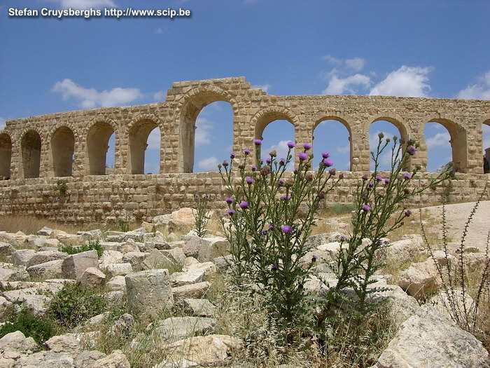 Jerash - Hippodroom Jerash (Gerasa) is een zeer goed bewaarde Romeinse stad die deel uitmaakte van Decapolis. Stefan Cruysberghs